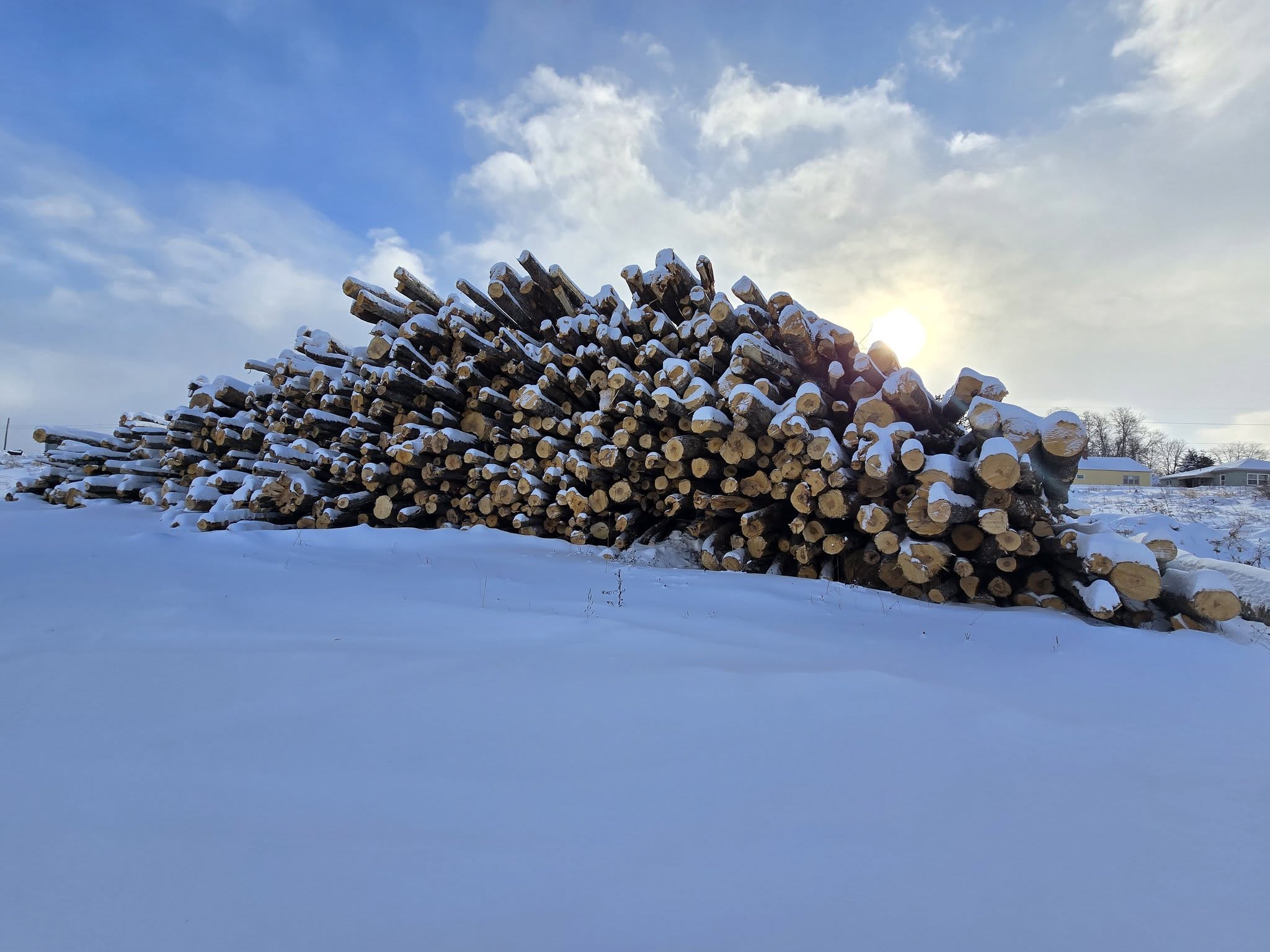 Firewood